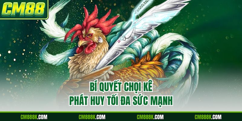 Bí quyết chọi kê phát huy tối đa sức mạnh
