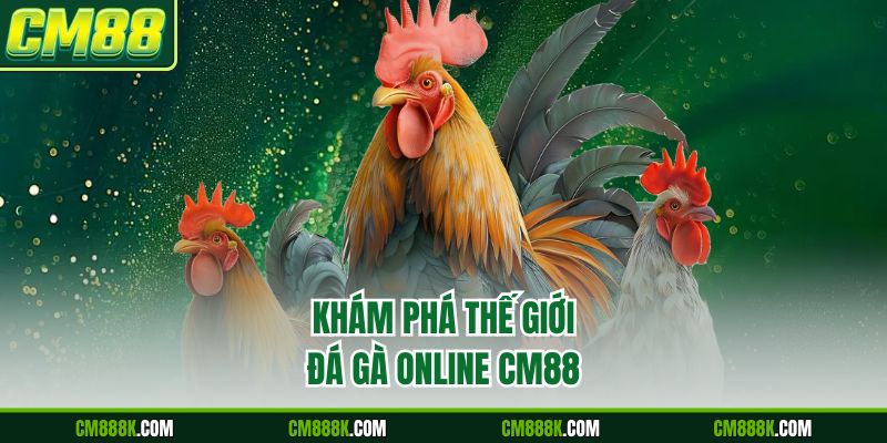 Khám phá thế giới đá gà online CM88