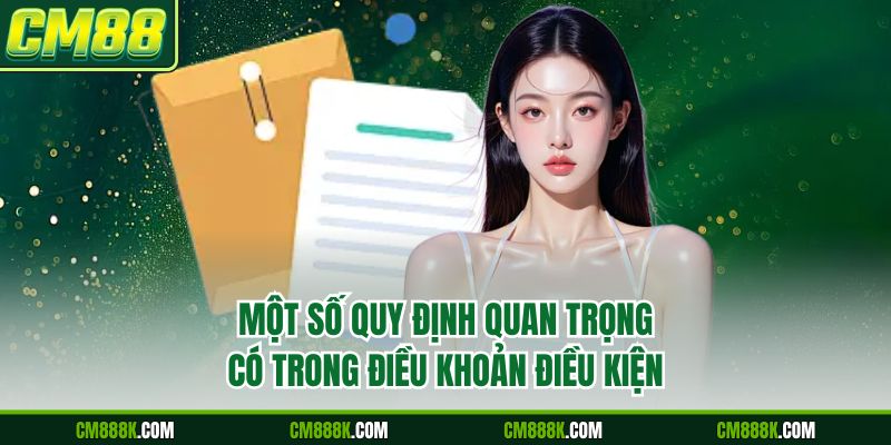 Một số quy định quan trọng có trong điều khoản điều kiện