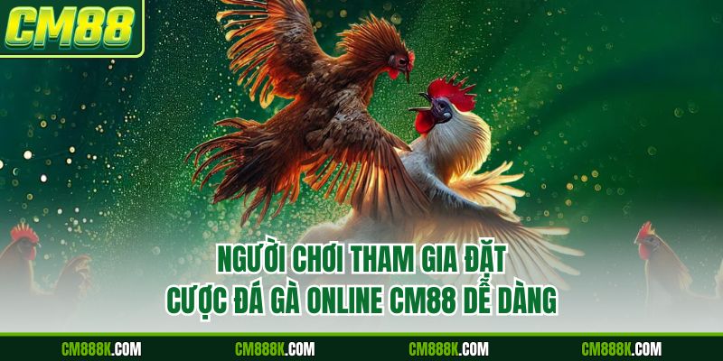 Người chơi tham gia đặt cược đá gà online CM88 dễ dàng
